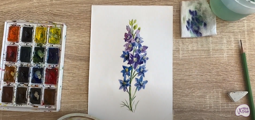 Рисуем Живокость
