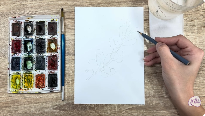 Рисуем Толокнянка