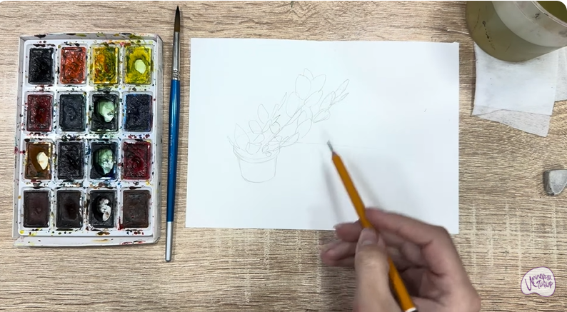 Рисуем Пеллиония в горшке