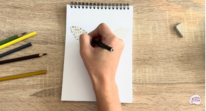 Рисуем Древесница въедливая