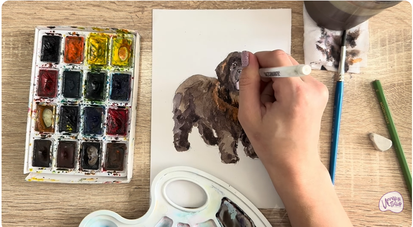 Рисуем Собака породы Ньюфаундленд