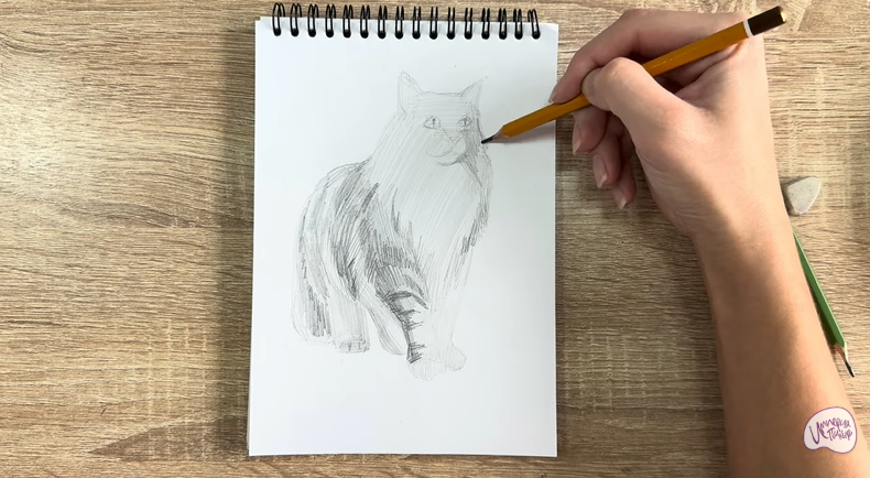 Рисуем Норвежский лесной кот