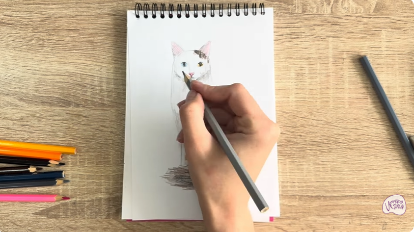 Рисуем Кот породы "Турецкий ван"
