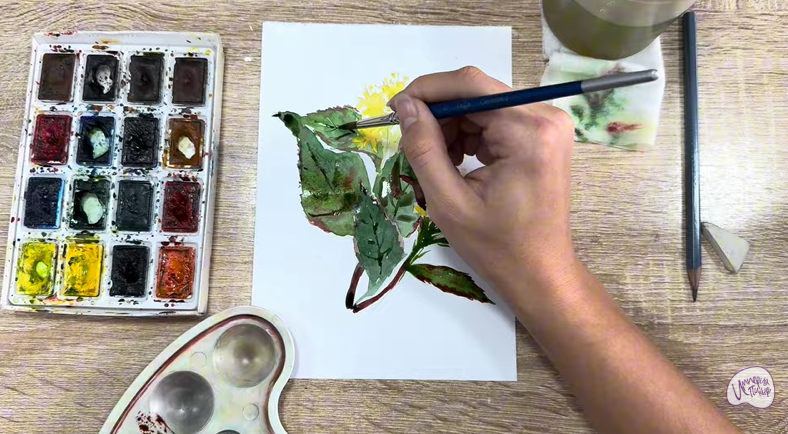 Рисуем Диервилла