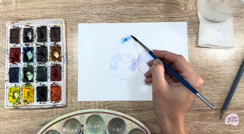 Рисуем Голубика