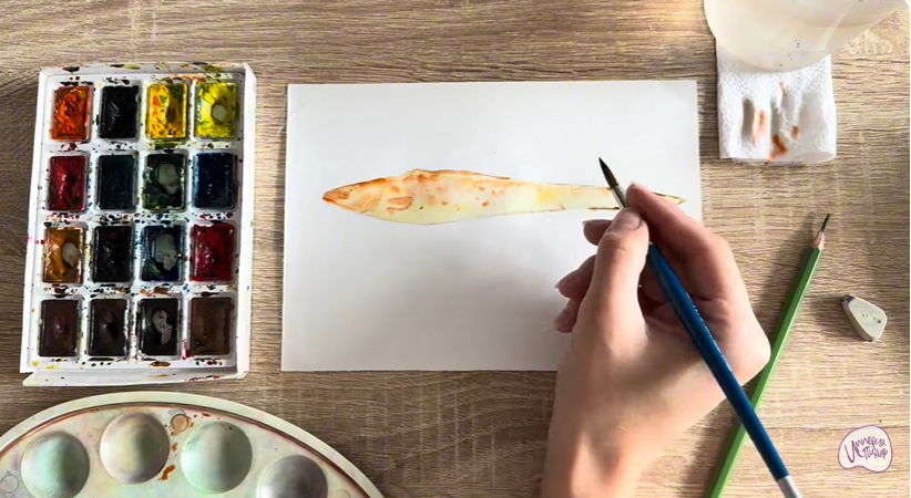 Рисуем Конгрио