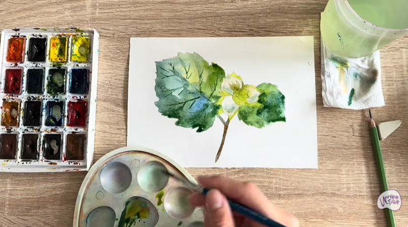 Рисуем Лещина