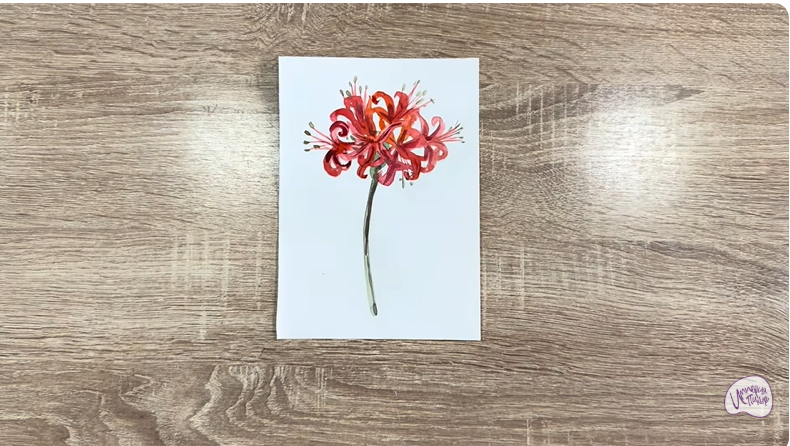 Рисуем Ликорис