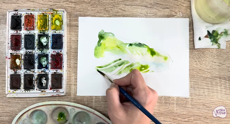 Рисуем Пекинская капуста