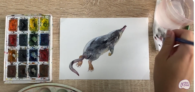 Рисуем Выхухоль