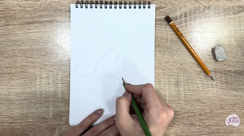 Рисуем Кот породы "Корат"