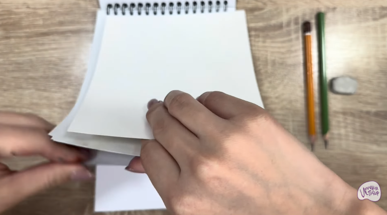 Рисуем Кот породы "Корат"