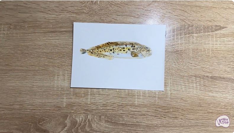 Рисуем Зубатка пёстрая