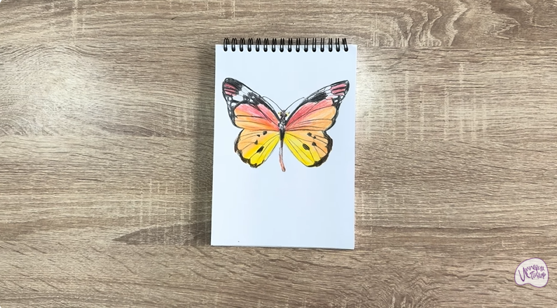 Рисуем Малинница обыкновенная