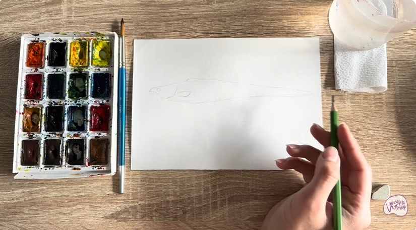 Рисуем Конгрио