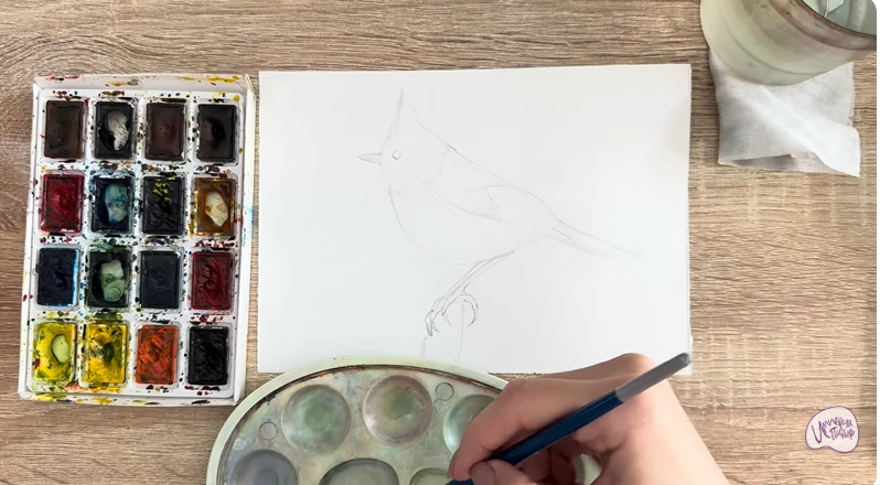 Рисуем Хохлатая синица