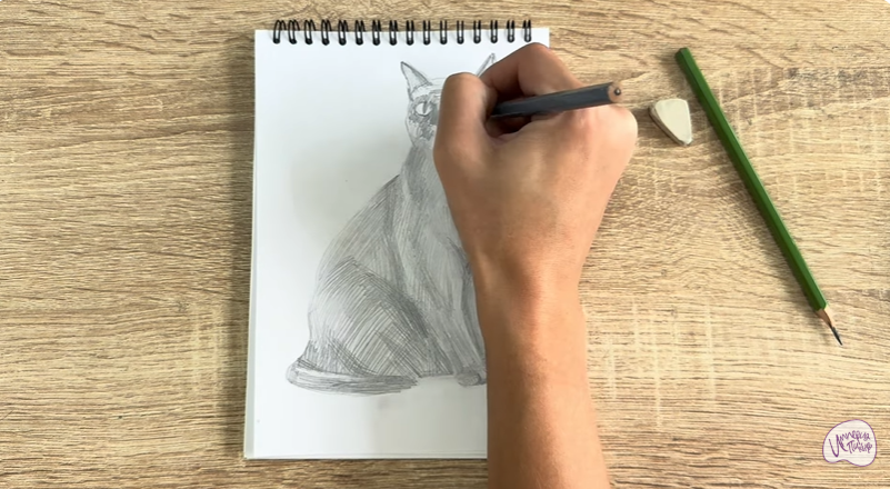 Рисуем Бурманский кот