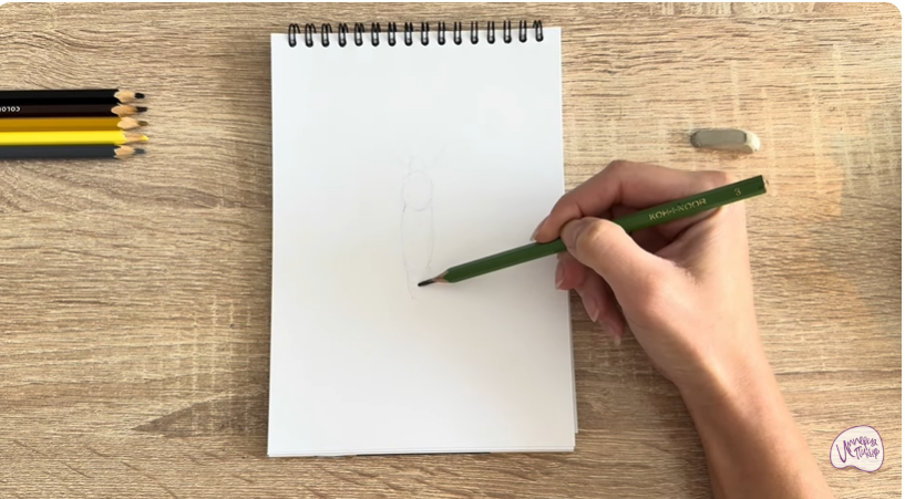 Рисуем Древесница въедливая