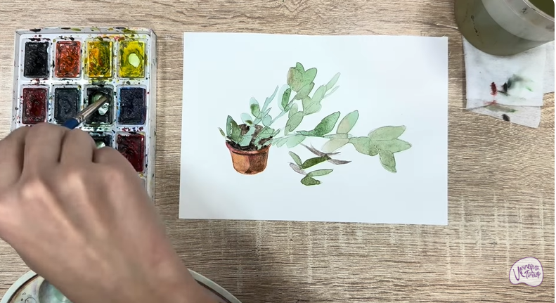 Рисуем Пеллиония в горшке