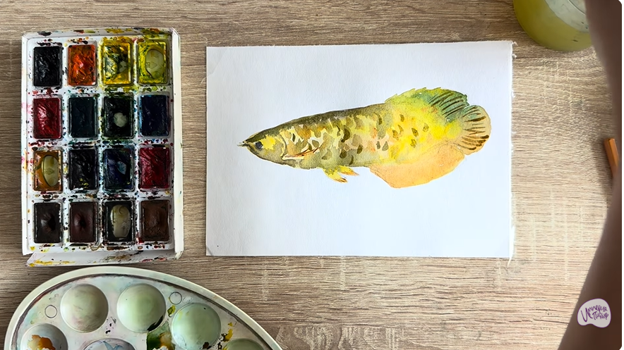 Рисуем Аравана