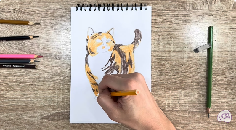 Рисуем Кошка породы "Манчкин"