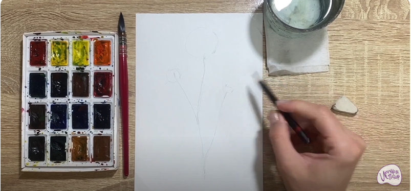 Рисуем Цветок "Скабиоза"