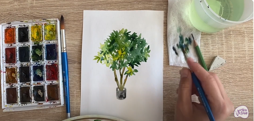Рисуем Бересклет