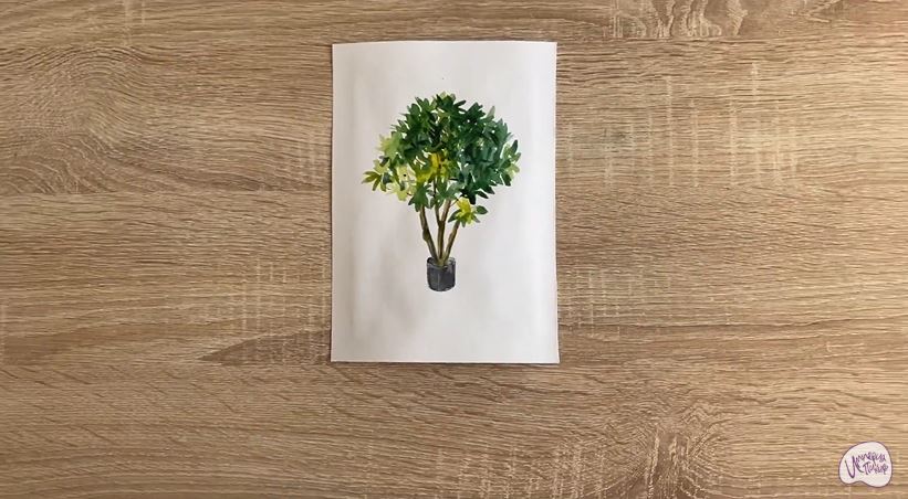 Рисуем Бересклет