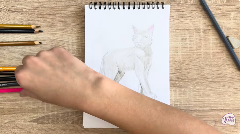 Рисуем Кошка Бурмилла