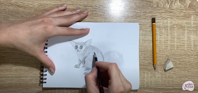 Рисуем Галаго