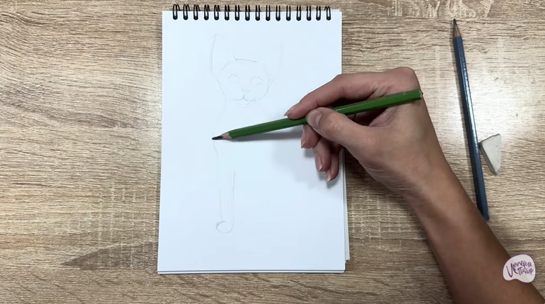 Рисуем Девон Рекс