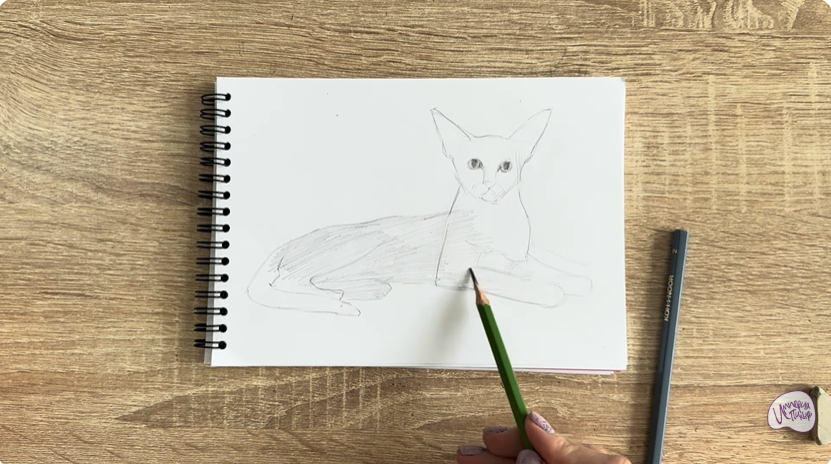 Рисуем Ориентальная кошка