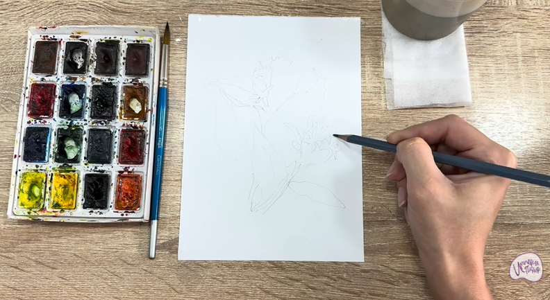 Рисуем Диервилла