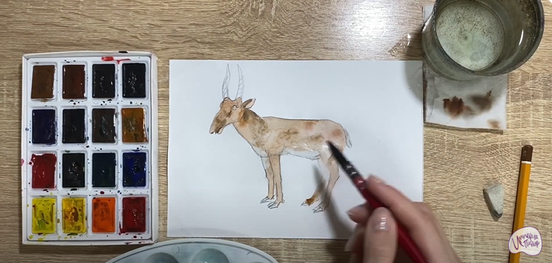 Рисуем Сайгак