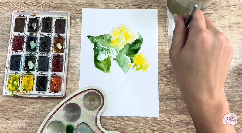 Рисуем Диервилла