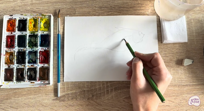 Рисуем Макрурус