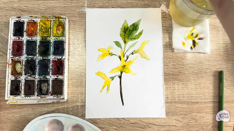 Рисуем Форзиция