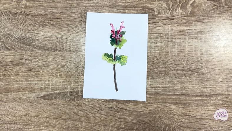 Рисуем Яснотка