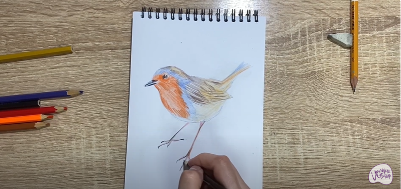 Рисуем Птичка "Зарянка"