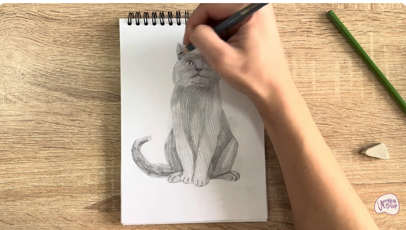 Рисуем Кот породы Шартрез