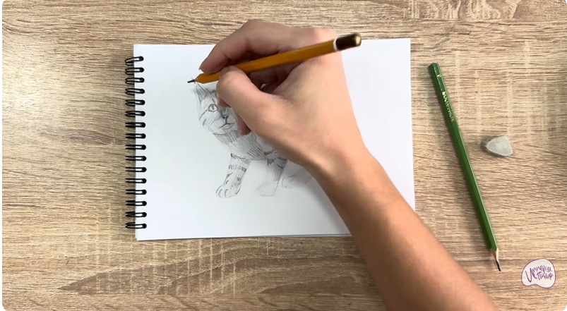 Рисуем Пиксибоб