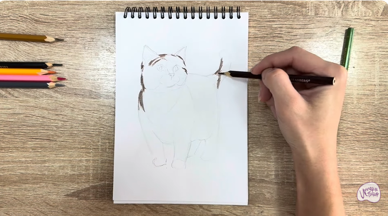 Рисуем Кошка породы "Манчкин"