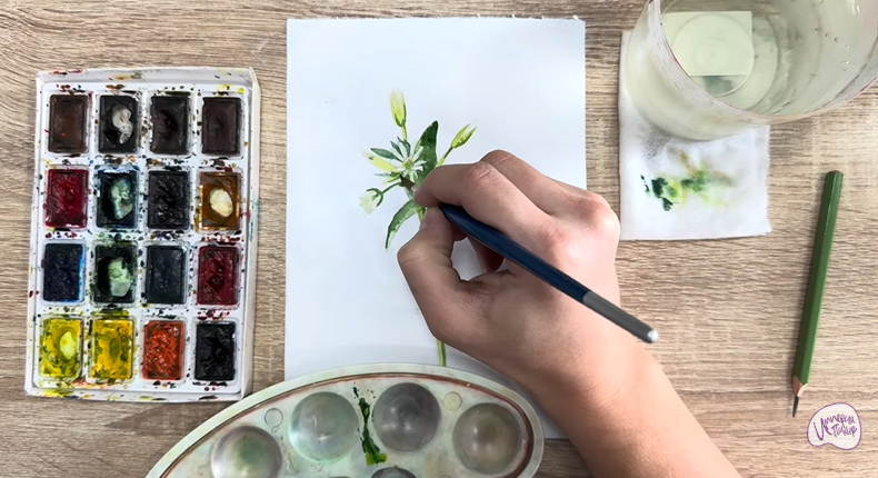 Рисуем Ясколка длинноволосая