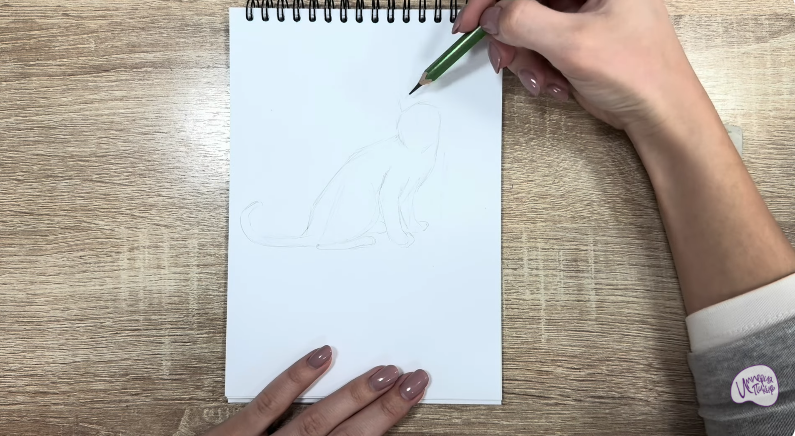 Рисуем Кот породы "Корат"