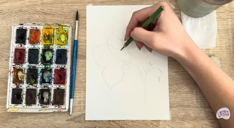 Рисуем Бугенвиллея