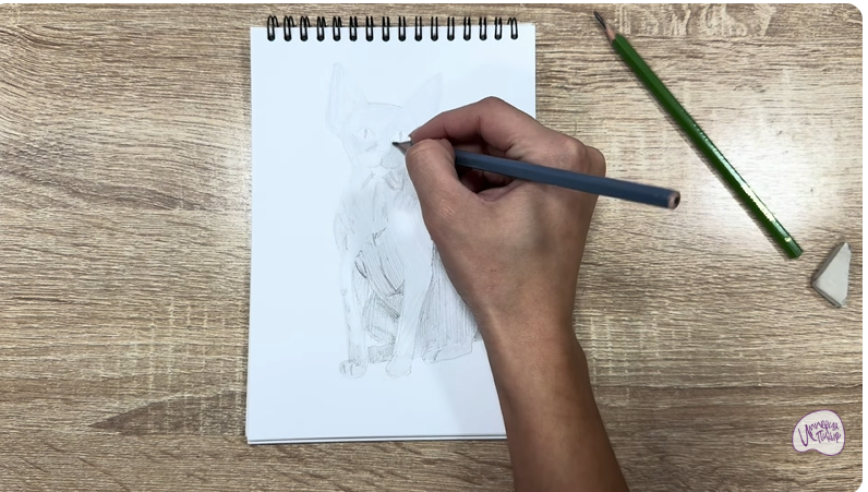 Рисуем Девон Рекс