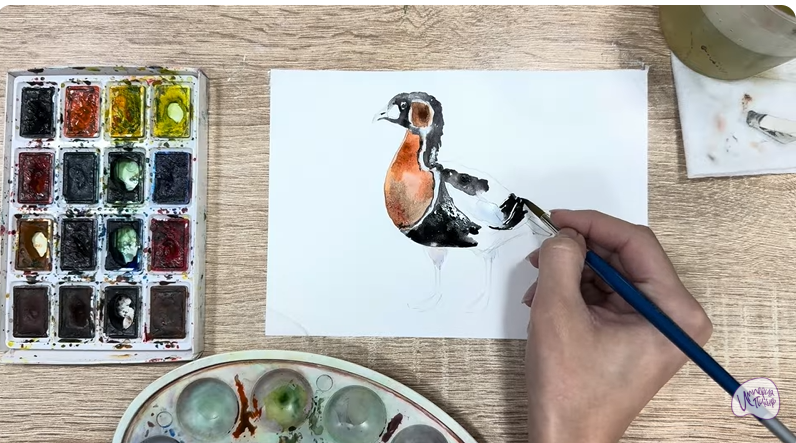 Рисуем Краснозобая казарка