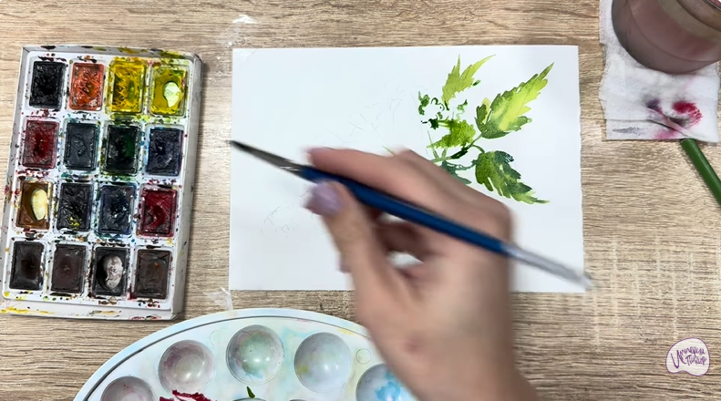 Рисуем Таволга