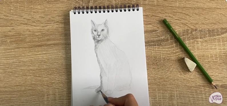 Рисуем Турецкая ангора