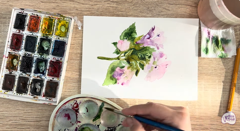 Рисуем Алтей лекарственный